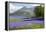 Wild Bluebells (Hyacinthoides Non-Scripta) Beside Loch Leven-Ruth Tomlinson-Framed Premier Image Canvas