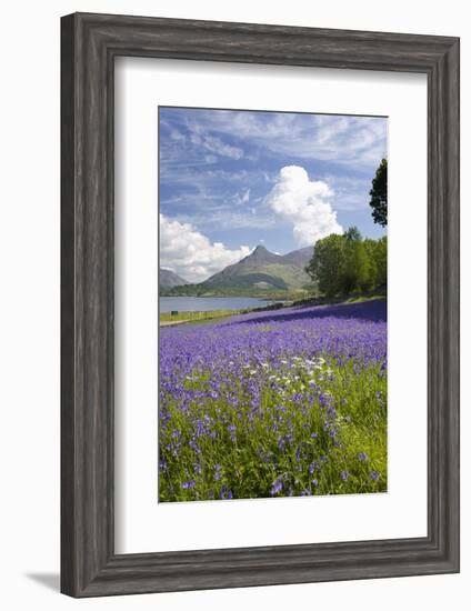 Wild Bluebells (Hyacinthoides Non-Scripta) Beside Loch Leven-Ruth Tomlinson-Framed Photographic Print