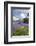 Wild Bluebells (Hyacinthoides Non-Scripta) Beside Loch Leven-Ruth Tomlinson-Framed Photographic Print