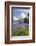 Wild Bluebells (Hyacinthoides Non-Scripta) Beside Loch Leven-Ruth Tomlinson-Framed Photographic Print