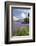 Wild Bluebells (Hyacinthoides Non-Scripta) Beside Loch Leven-Ruth Tomlinson-Framed Photographic Print