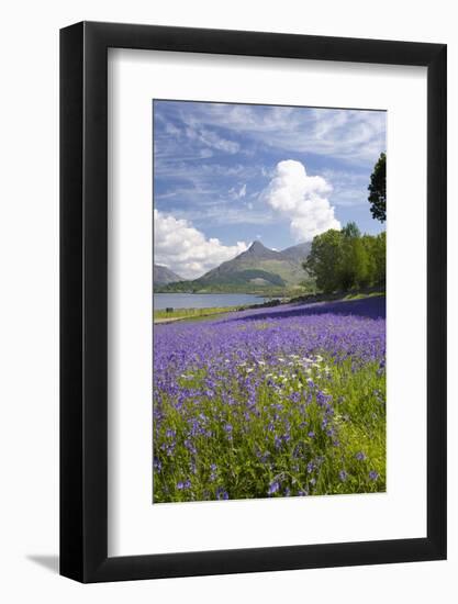 Wild Bluebells (Hyacinthoides Non-Scripta) Beside Loch Leven-Ruth Tomlinson-Framed Photographic Print