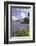 Wild Bluebells (Hyacinthoides Non-Scripta) Beside Loch Leven-Ruth Tomlinson-Framed Photographic Print