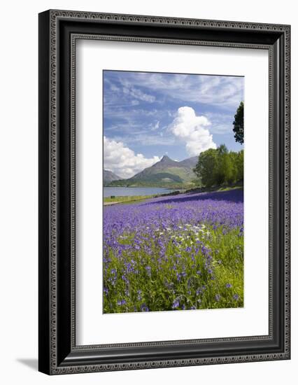 Wild Bluebells (Hyacinthoides Non-Scripta) Beside Loch Leven-Ruth Tomlinson-Framed Photographic Print