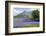 Wild Bluebells (Hyacinthoides Non-Scripta) Beside Loch Leven-Ruth Tomlinson-Framed Photographic Print