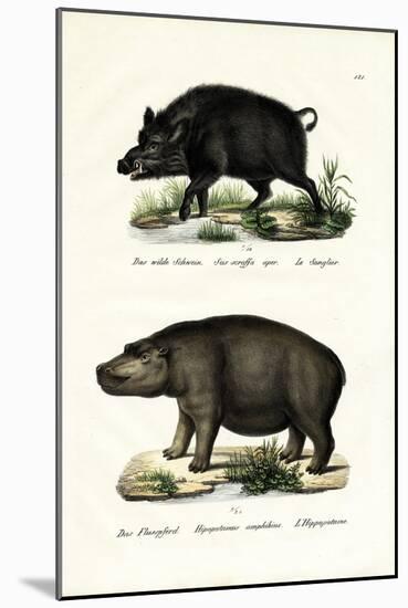 Wild Boar, 1824-Karl Joseph Brodtmann-Mounted Giclee Print