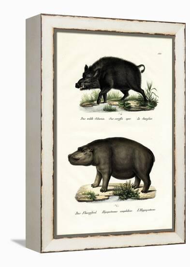 Wild Boar, 1824-Karl Joseph Brodtmann-Framed Premier Image Canvas