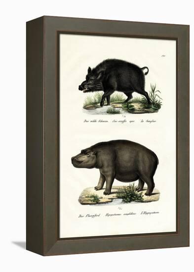 Wild Boar, 1824-Karl Joseph Brodtmann-Framed Premier Image Canvas