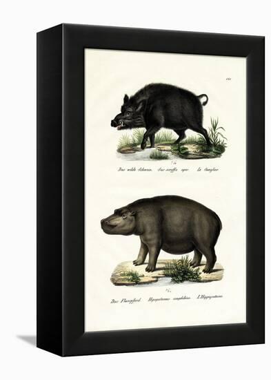 Wild Boar, 1824-Karl Joseph Brodtmann-Framed Premier Image Canvas