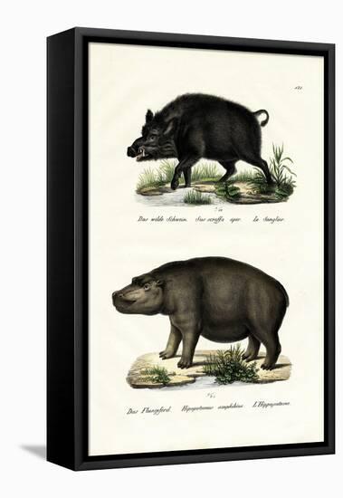 Wild Boar, 1824-Karl Joseph Brodtmann-Framed Premier Image Canvas