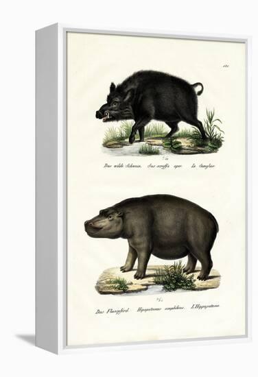 Wild Boar, 1824-Karl Joseph Brodtmann-Framed Premier Image Canvas