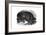 Wild Boar, 1848-null-Framed Giclee Print