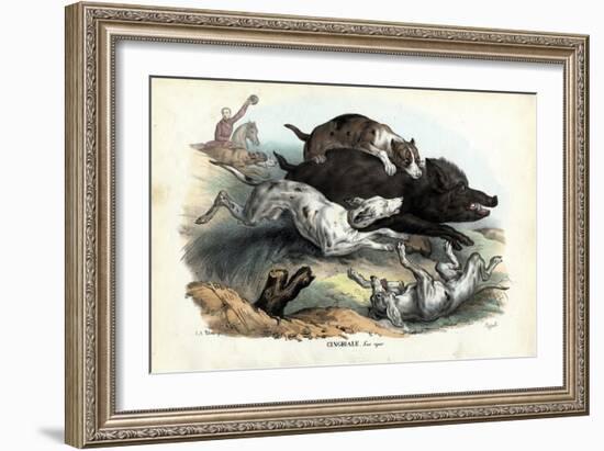 Wild Boar, 1863-79-Raimundo Petraroja-Framed Giclee Print