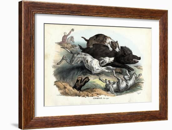 Wild Boar, 1863-79-Raimundo Petraroja-Framed Giclee Print