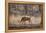 Wild Boar, Ranthambhore National Park, Rajasthan, India, Asia-Janette Hill-Framed Premier Image Canvas