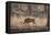 Wild Boar, Ranthambhore National Park, Rajasthan, India, Asia-Janette Hill-Framed Premier Image Canvas