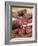 Wild Boar Sausages-null-Framed Photographic Print