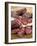 Wild Boar Sausages-null-Framed Photographic Print