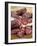 Wild Boar Sausages-null-Framed Photographic Print