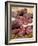 Wild Boar Sausages-null-Framed Photographic Print