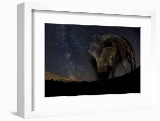 Wild Boar (Sus Scrofa) at Night with the Milky Way in the Background, Gyulaj, Tolna, Hungary-Bence Mate-Framed Photographic Print