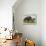 Wild Boar (Sus Scrofa), Captive, United Kingdom, Europe-Ann and Steve Toon-Framed Premier Image Canvas displayed on a wall