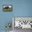 Wild Boar (Sus Scrofa), Captive, United Kingdom, Europe-Ann and Steve Toon-Framed Premier Image Canvas displayed on a wall