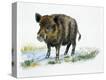 Stretched Canvas Print