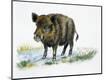 Giclee Print