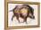 Wild Boar Trotting, 1999-Mark Adlington-Framed Premier Image Canvas