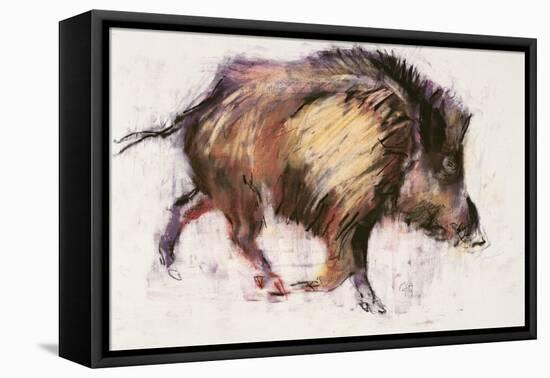 Wild Boar Trotting, 1999-Mark Adlington-Framed Premier Image Canvas