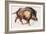Wild Boar Trotting, 1999-Mark Adlington-Framed Giclee Print