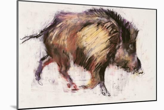 Wild Boar Trotting, 1999-Mark Adlington-Mounted Giclee Print