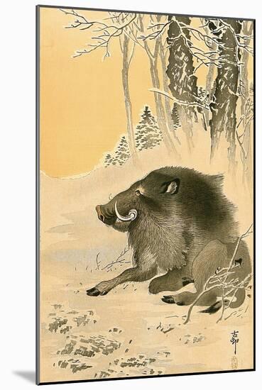 Wild Boar-Koson Ohara-Mounted Giclee Print