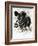 Wild Boar-English School-Framed Giclee Print