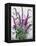 Wild Buddleia-Christopher Ryland-Framed Premier Image Canvas