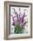 Wild Buddleia-Christopher Ryland-Framed Giclee Print