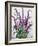 Wild Buddleia-Christopher Ryland-Framed Giclee Print