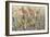 Wild Bunch-Tim O'toole-Framed Giclee Print