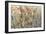 Wild Bunch-Tim O'toole-Framed Giclee Print