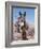 Wild Burro, Arizona/Nevada, USA, North America-Lynn M. Stone-Framed Photographic Print