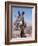 Wild Burro, Arizona/Nevada, USA, North America-Lynn M. Stone-Framed Photographic Print