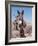 Wild Burro, Arizona/Nevada, USA, North America-Lynn M. Stone-Framed Photographic Print