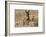 Wild burro standing. Red Rock Canyon Area, Nevada, USA.-Michel Hersen-Framed Photographic Print