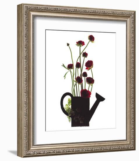 Wild Buttercups, Watering Can-Philippe Ughetto-Framed Art Print