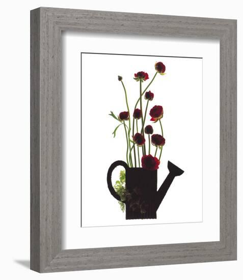 Wild Buttercups, Watering Can-Philippe Ughetto-Framed Art Print