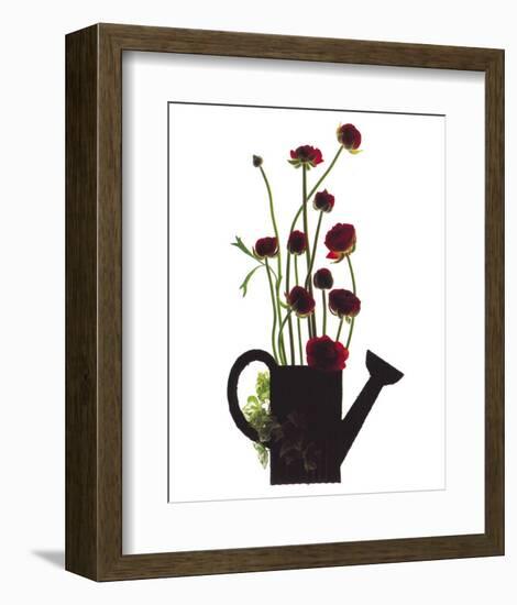 Wild Buttercups, Watering Can-Philippe Ughetto-Framed Art Print