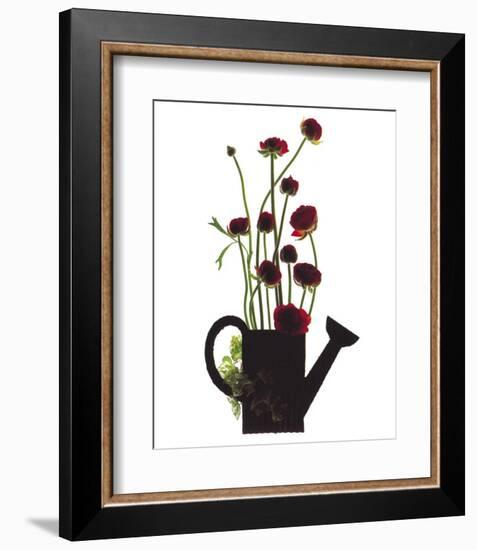 Wild Buttercups, Watering Can-Philippe Ughetto-Framed Art Print