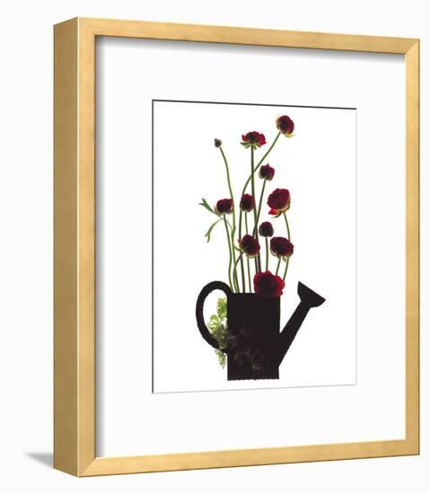 Wild Buttercups, Watering Can-Philippe Ughetto-Framed Art Print