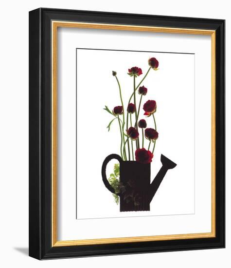 Wild Buttercups, Watering Can-Philippe Ughetto-Framed Art Print